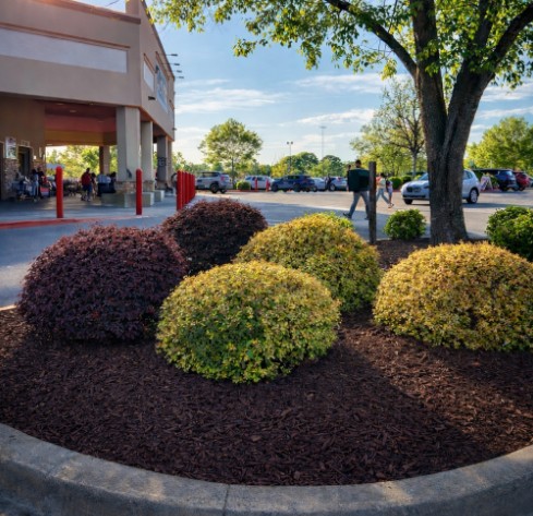 Commercial Landscaping